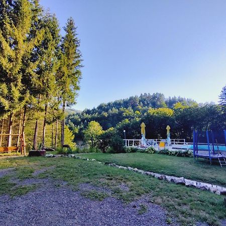 Cabana Cerbu Bozovici Εξωτερικό φωτογραφία