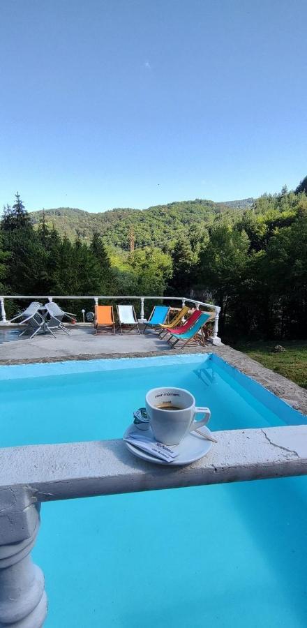 Cabana Cerbu Bozovici Εξωτερικό φωτογραφία